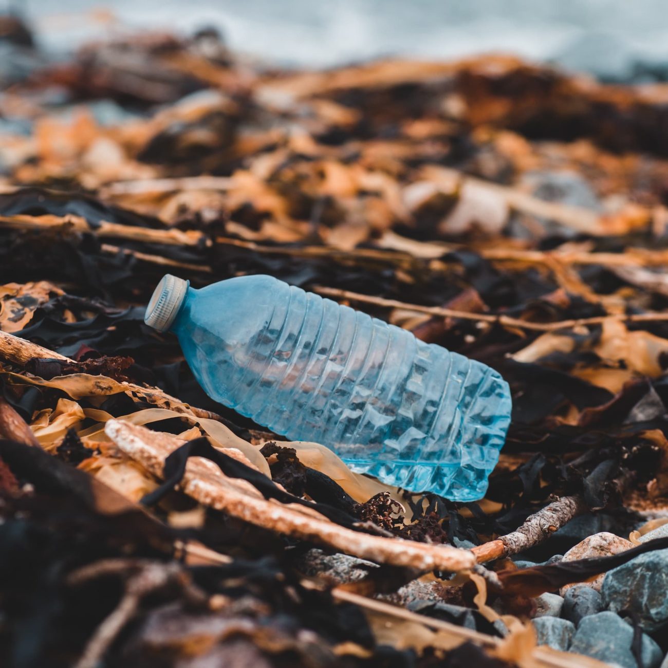 Plastic water bottle laying amongst organic debris next to water.