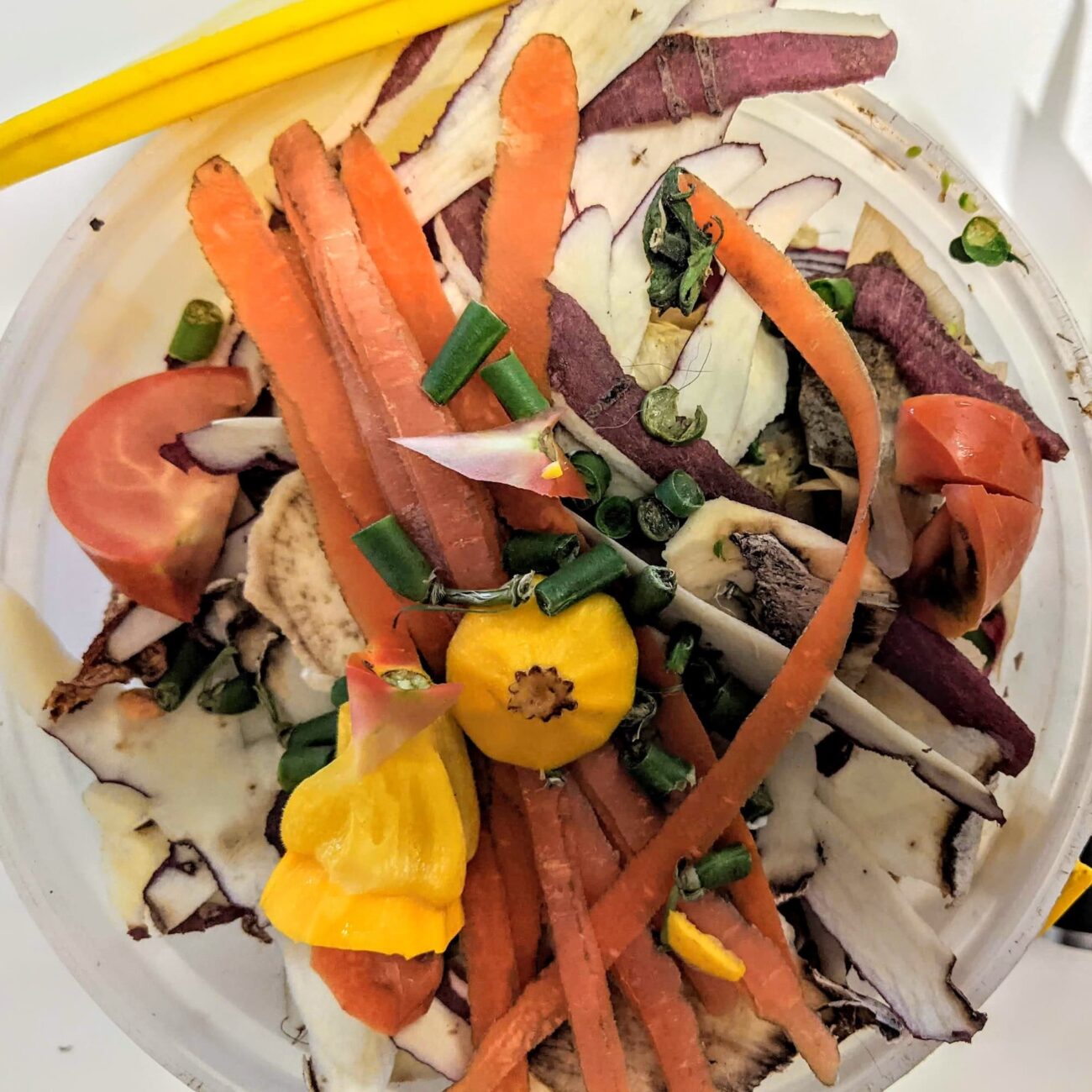 Top down view of kitchen scraps in a bucket